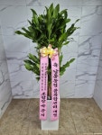 인천광역시남동구 꽃배달, 인천광역시남동구 꽃집, 인천광역시 남동구 매소홀로 816 꽃집, (구월동) 꽃집, 인천광역시 남동구 매소홀로 816... 