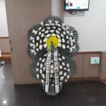 경상북도김천시 꽃배달, 경상북도김천시 꽃집, 경상북도 김천시 양금로 249-1 꽃집, (황금동) 꽃집, 경상북도 김천시 양금로 249-1 꽃배달... 