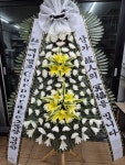 고흥군 고흥읍 여산당촌길 46 꽃집, (모아하이빌아파트) 102호... 고흥군 고흥읍 여산당촌길 46 꽃배달, (모아하이빌아파트) 102호 백양꽃화원... 