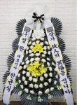 경기도고양시 일산동구 꽃배달, 경기도고양시 일산동구 꽃집, 경기도 고양시 일산동구 무궁화로386번길 29-13 꽃집, 식사동1021번지(식사동)... 