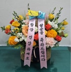 강원도춘천시 꽃배달, 강원도춘천시 꽃집, 강원도 춘천시 효제길 33 꽃집, (효자동) 천사꽃화원 꽃집, 강원도 춘천시 효제길 33 꽃배달, (효자동)... 