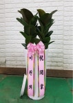 경기도파주시 꽃배달, 경기도파주시 꽃집, 경기도 파주시 황골로 87 꽃집, (금촌동)1.2호 부재중 우편거부 꽃집, 경기도 파주시 황골로 87 꽃배달... 