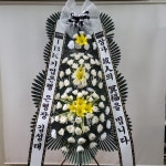 강원특별자치도강릉시 꽃배달, 강원특별자치도강릉시 꽃집, 강원특별자치도 강릉시 강릉대로457번길 63 꽃집, (포남동) 꽃집, 강원특별자치도... 