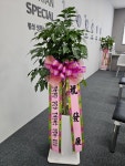 강원특별자치도횡성군 꽃배달, 강원특별자치도횡성군 꽃집, 강원특별자치도 횡성군 횡성읍 문정로 14 꽃집, 예삐꽃방 꽃집, 강원특별자치도... 