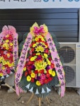 강원특별자치도횡성군 꽃배달, 강원특별자치도횡성군 꽃집, 강원특별자치도 횡성군 횡성읍 문정로 14 꽃집, 예삐꽃방 꽃집, 강원특별자치도... 