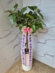 인천광역시남동구 꽃배달, 인천광역시남동구 꽃집, 인천광역시 남동구 매소홀로 816 꽃집, (구월동) 꽃집, 인천광역시 남동구 매소홀로 816... 