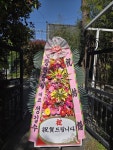 진해구 행암로 5 꽃집, 상가 수요일엔 구청앞꽃집(장천동... 진해구 행암로 5 꽃배달, 상가 수요일엔 구청앞꽃집(장천동... 