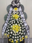 대구광역시서구 꽃배달, 대구광역시서구 꽃집, 대구광역시 서구 평리로21길 51 꽃집, 1층(중리동) 꽃집, 대구광역시 서구 평리로21길 51 꽃배달... 
