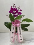 인천광역시남동구 꽃배달, 인천광역시남동구 꽃집, 인천광역시 남동구 매소홀로 816 꽃집, (구월동) 꽃집, 인천광역시 남동구 매소홀로 816... 