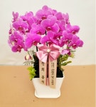 일산동구 능안길 91 꽃집, 예원농장(식사동) 꽃집, 경기도 고양시 일산동구 능안길 91 꽃배달, 예원농장(식사동) 꽃배달 - 주 엔트농원 일산파주점... 