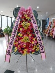 강원특별자치도속초시 꽃배달, 강원특별자치도속초시 꽃집, 강원특별자치도 속초시 이목로 140 꽃집, (노학동) 꽃집, 강원특별자치도 속초시... 