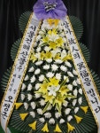 남구 진남로 188번길 52-17 꽃집, 부산광역시 남구 문현로 37-7 꽃배달, 부산광역시 남구 진남로 188번길 52-17 꽃배달 - 숲플라워... 