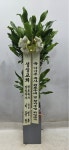 (내곡동) 오성농원 꽃집, 서울특별시 서초구 헌인릉1길 22 꽃배달, (내곡동) 오성농원 꽃배달 - 오성농원 플라워119꽃배달서비스 - 생일, 개업... 