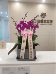 부산광역시해운대구 꽃배달, 부산광역시해운대구 꽃집, 부산광역시 해운대구 반송로 524 꽃집, (석대동) 은혜농원 꽃집, 부산광역시 해운대구... 