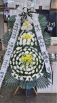 태백시 태백산로 5109 꽃집, 강원쏯도매(황지동) 꽃집, 강원특별자치도 태백시 태백산로 5109 꽃배달, 강원쏯도매(황지동) 꽃배달 - 강원꽃도매... 