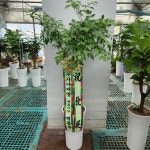 경기도화성시 꽃배달, 경기도화성시 꽃집, 경기도 화성시 봉담읍 삼천병마로 818 꽃집, 한백화훼유통 꽃집, 경기도 화성시 봉담읍 삼천병마로 818... 