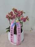 충청남도부여군 꽃배달, 충청남도부여군 꽃집, 충청남도 부여군 부여읍 삼충로 201-2 꽃집, 꽃집, 충청남도 부여군 부여읍 삼충로 201-2 꽃배달... 