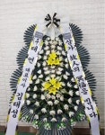 경기도고양시 일산동구 꽃배달, 경기도고양시 일산동구 꽃집, 경기도 고양시 일산동구 무궁화로386번길 29-13 꽃집, 식사동1021번지(식사동)... 