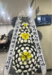 제주특별자치도서귀포시 꽃배달, 제주특별자치도서귀포시 꽃집, 제주특별자치도 서귀포시 동홍로109번길 13 꽃집, (동홍동) 꽃집... 