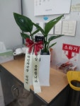 경상남도통영시 꽃배달, 경상남도통영시 꽃집, 경상남도 통영시 무전7길 186 꽃집, 금자빌딩 102호(무전동) 꽃집, 경상남도 통영시 무전7길 186... 