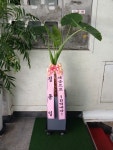 부산광역시해운대구 꽃배달, 부산광역시해운대구 꽃집, 부산광역시 해운대구 반송로 524 꽃집, (석대동) 은혜농원 꽃집, 부산광역시 해운대구... 