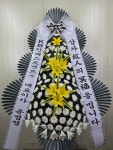 대전광역시유성구 꽃배달, 대전광역시유성구 꽃집, 대전광역시 유성구 유성대로654번길 125 꽃집, 1층 101호(구암동) 꽃집, 대전광역시 유성구... 