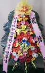 경기도성남시 수정구 꽃배달, 경기도성남시 수정구 꽃집, 경기도 성남시 수정구 신촌남로 19 꽃집, 101호(신촌동) 꽃집, 경기도 성남시 수정구... 