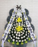 경기도고양시 일산동구 꽃배달, 경기도고양시 일산동구 꽃집, 경기도 고양시 일산동구 무궁화로386번길 29-13 꽃집, 식사동1021번지(식사동)... 