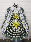 경기도고양시 일산동구 꽃배달, 경기도고양시 일산동구 꽃집, 경기도 고양시 일산동구 무궁화로386번길 29-13 꽃집, 식사동1021번지(식사동)... 