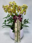 경기도수원시 팔달구 꽃배달, 경기도수원시 팔달구 꽃집, 경기도 수원시 팔달구 인계로 54 꽃집, 향원 플라워(인계동) 꽃집, 경기도 수원시... 