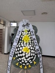 전라북도진안군 꽃배달, 전라북도진안군 꽃집, 전라북도 진안군 진안읍 학천변길 93 꽃집, 마이산꽃농원 꽃집, 전라북도 진안군 진안읍 학천변길... 