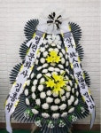 경기도고양시 일산동구 꽃배달, 경기도고양시 일산동구 꽃집, 경기도 고양시 일산동구 무궁화로386번길 29-13 꽃집, 식사동1021번지(식사동)... 