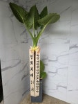 인천광역시남동구 꽃배달, 인천광역시남동구 꽃집, 인천광역시 남동구 매소홀로 816 꽃집, (구월동) 꽃집, 인천광역시 남동구 매소홀로 816... 