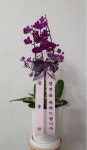 경기도가평군 꽃배달, 경기도가평군 꽃집, 경기도 가평군 청평면 청평중앙로 51 꽃집, 지하 꽃집, 경기도 가평군 청평면 청평중앙로 51 꽃배달... 