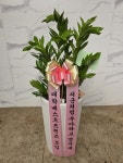 인천광역시남동구 꽃배달, 인천광역시남동구 꽃집, 인천광역시 남동구 매소홀로 816 꽃집, (구월동) 꽃집, 인천광역시 남동구 매소홀로 816... 