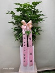 경기도수원시 팔달구 꽃배달, 경기도수원시 팔달구 꽃집, 경기도 수원시 팔달구 인계로 54 꽃집, 향원 플라워(인계동) 꽃집, 경기도 수원시... 