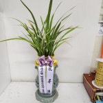 경기도화성시 꽃배달, 경기도화성시 꽃집, 경기도 화성시 봉담읍 삼천병마로 818 꽃집, 한백화훼유통 꽃집, 경기도 화성시 봉담읍 삼천병마로 818... 