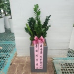 경기도화성시 꽃배달, 경기도화성시 꽃집, 경기도 화성시 봉담읍 삼천병마로 818 꽃집, 한백화훼유통 꽃집, 경기도 화성시 봉담읍 삼천병마로 818... 