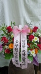 제주특별자치도서귀포시 꽃배달, 제주특별자치도서귀포시 꽃집, 제주특별자치도 서귀포시 일주동로 8626-1 꽃집, 1층(동홍동) 꽃집... 
