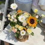 경기도평택시 꽃배달, 경기도평택시 꽃집, 경기도 평택시 서정역로 20 꽃집, 늘꽃(서정동) 꽃집, 경기도 평택시 서정역로 20 꽃배달, 늘꽃(서정동)... 