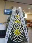제주특별자치도서귀포시 꽃배달, 제주특별자치도서귀포시 꽃집, 제주특별자치도 서귀포시 동홍로109번길 13 꽃집, (동홍동) 꽃집... 