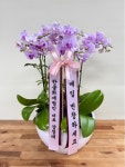 경기도수원시 팔달구 꽃배달, 경기도수원시 팔달구 꽃집, 경기도 수원시 팔달구 인계로 54 꽃집, 향원 플라워(인계동) 꽃집, 경기도 수원시... 