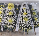 경기도광명시 꽃배달, 경기도광명시 꽃집, 경기도 광명시 광명로 683 꽃집, 광명로683(광명동) 꽃집, 경기도 광명시 광명로 683 꽃배달, 광명로683... 
