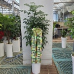 경기도화성시 꽃배달, 경기도화성시 꽃집, 경기도 화성시 봉담읍 삼천병마로 818 꽃집, 한백화훼유통 꽃집, 경기도 화성시 봉담읍 삼천병마로 818... 