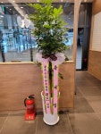 충청북도진천군 꽃배달, 충청북도진천군 꽃집, 충청북도 진천군 진천읍 덕금로 141 꽃집, 하나로화원 꽃집, 충청북도 진천군 진천읍 덕금로 141... 
