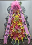 강동구 초광로294번길 45 꽃집, 강동구천호대로213길9 꽃집, 서울특별시 강동구 초광로294번길 45 꽃배달, 강동구천호대로213길9 꽃배달 - 썬플라워... 