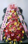 경기도 성남시 수정구 신촌남로 19 꽃배달, 101호(신촌동) 꽃배달 - 주식회사 네온플라워 플라워119꽃배달서비스 - 생일, 개업, 축하, 근조 꽃배달... 