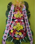 충청남도아산시 꽃배달, 충청남도아산시 꽃집, 충청남도 아산시 배방읍 모산로126번길 3 꽃집, 필플라워 꽃집, 충청남도 아산시 배방읍... 