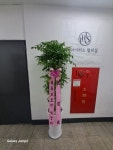 경기도수원시 팔달구 꽃배달, 경기도수원시 팔달구 꽃집, 경기도 수원시 팔달구 인계로 54 꽃집, 향원 플라워(인계동) 꽃집, 경기도 수원시... 