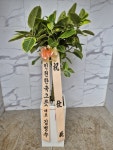 인천광역시남동구 꽃배달, 인천광역시남동구 꽃집, 인천광역시 남동구 매소홀로 816 꽃집, (구월동) 꽃집, 인천광역시 남동구 매소홀로 816... 